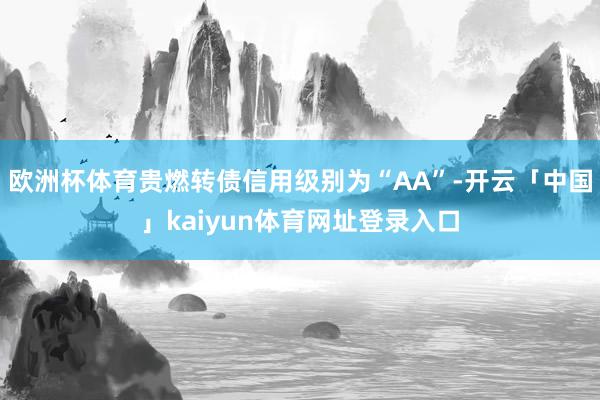 欧洲杯体育贵燃转债信用级别为“AA”-开云「中国」kaiyun体育网址登录入口