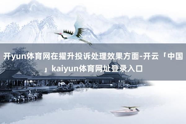 开yun体育网在擢升投诉处理效果方面-开云「中国」kaiyun体育网址登录入口