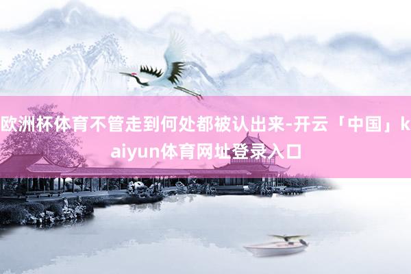 欧洲杯体育不管走到何处都被认出来-开云「中国」kaiyun体育网址登录入口