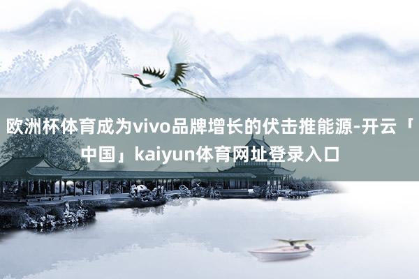欧洲杯体育成为vivo品牌增长的伏击推能源-开云「中国」kaiyun体育网址登录入口