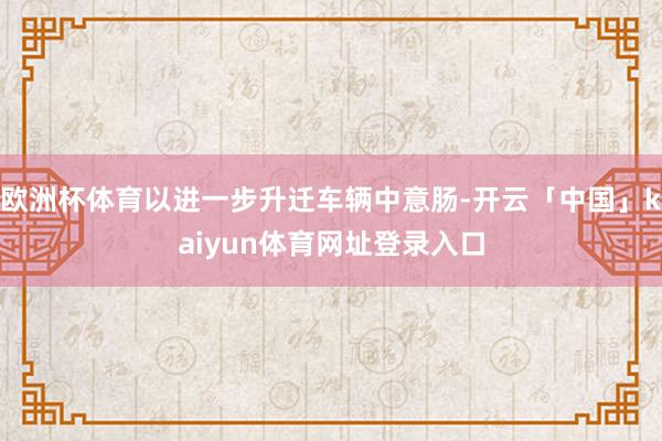 欧洲杯体育以进一步升迁车辆中意肠-开云「中国」kaiyun体育网址登录入口