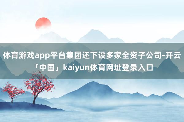 体育游戏app平台集团还下设多家全资子公司-开云「中国」ka