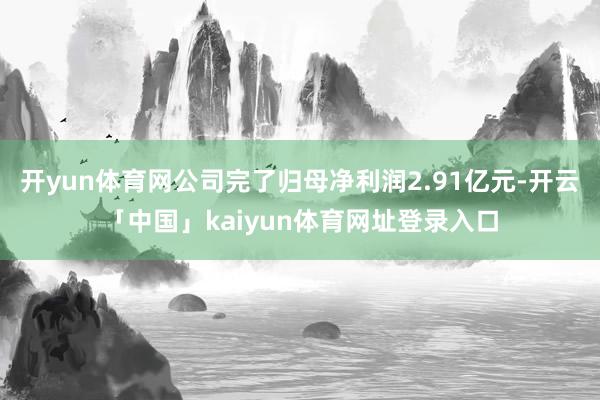 开yun体育网公司完了归母净利润2.91亿元-开云「中国」kaiyun体育网址登录入口