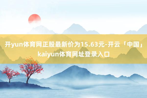开yun体育网正股最新价为15.63元-开云「中国」kaiyun体育网址登录入口