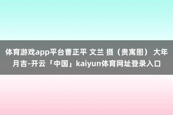 体育游戏app平台曹正平 文兰 摄（贵寓图） 大年月吉-开云「中国」kaiyun体育网址登录入口