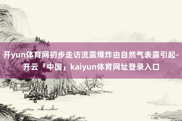 开yun体育网初步走访流露爆炸由自然气表露引起-开云「中国」kaiyun体育网址登录入口